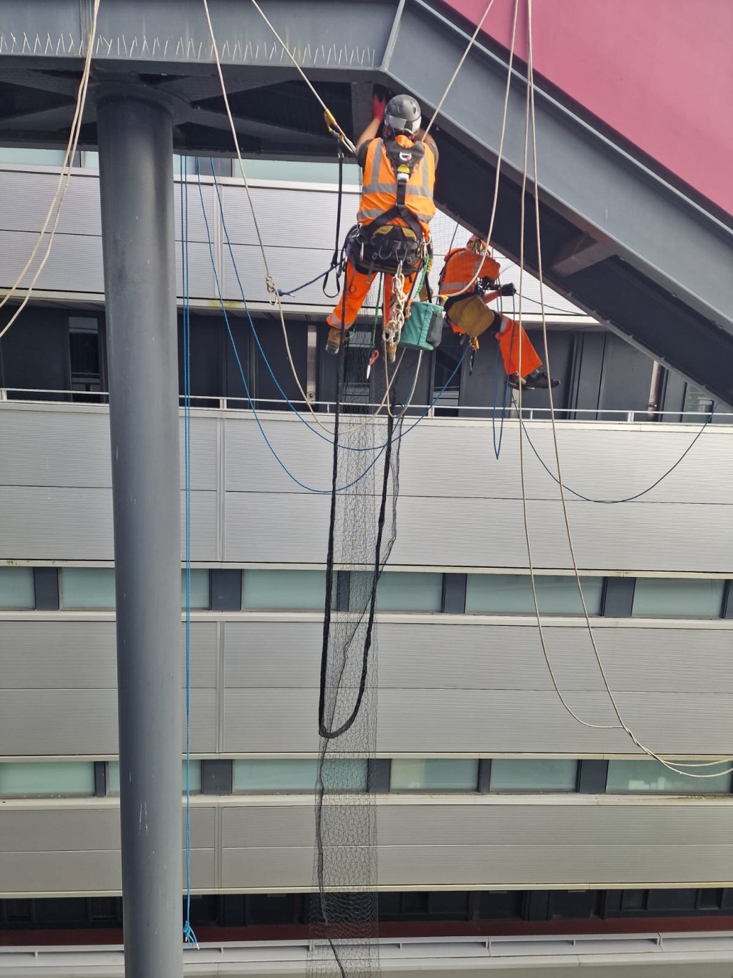 Two technicians abseiling a building façade beneath a steel canopy