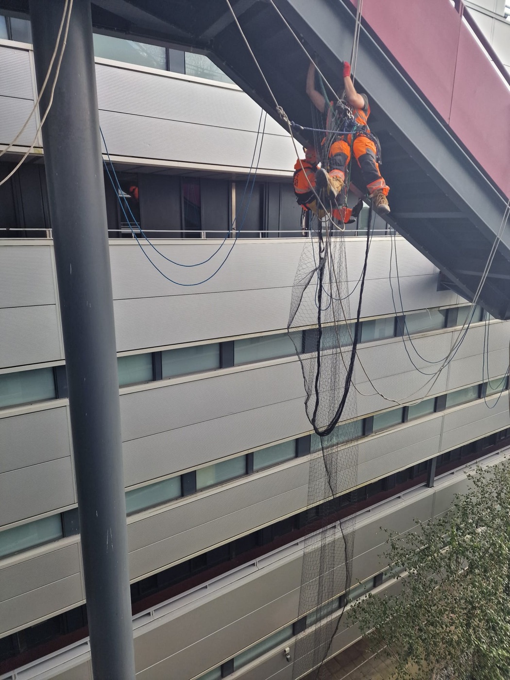 Technician descending a building façade