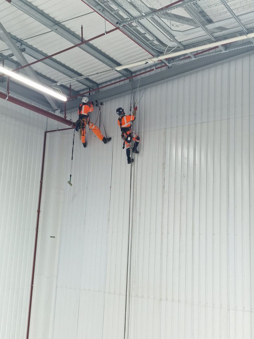 Two technicians on ropes high up a warehouse wall